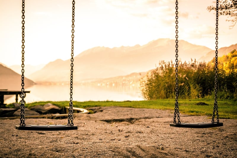 Tire Swing Shelf